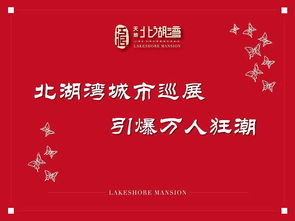 天地 北湖湾活动策划方案